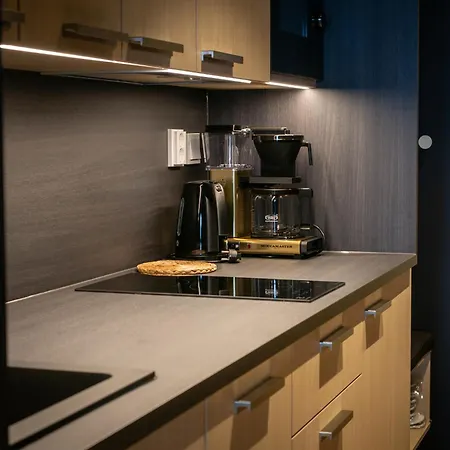 Ξενοδοχείο με διαμερίσματα Nallikari Seaside Aalto 4*